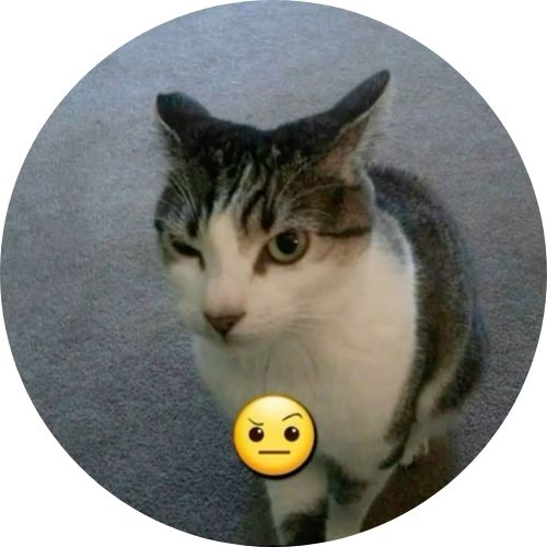- Sillycat -